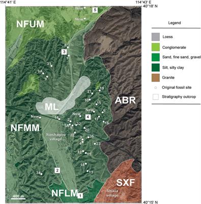 First results of the biostratigraphy and geochronology of the classic Nihewan Fauna, China